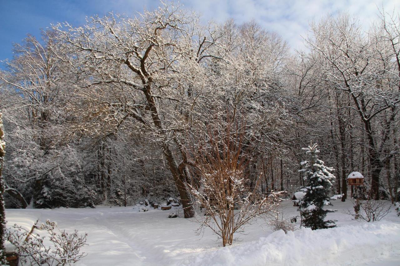Pod Zlota Morwa Homestay Swieta Katarzyna (Swietokrzyskie)