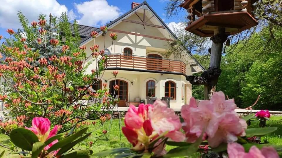 Homestay Pod Zlota Morwa