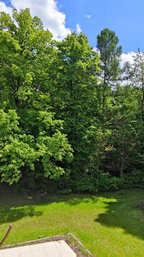 Pod Zlota Morwa Homestay
